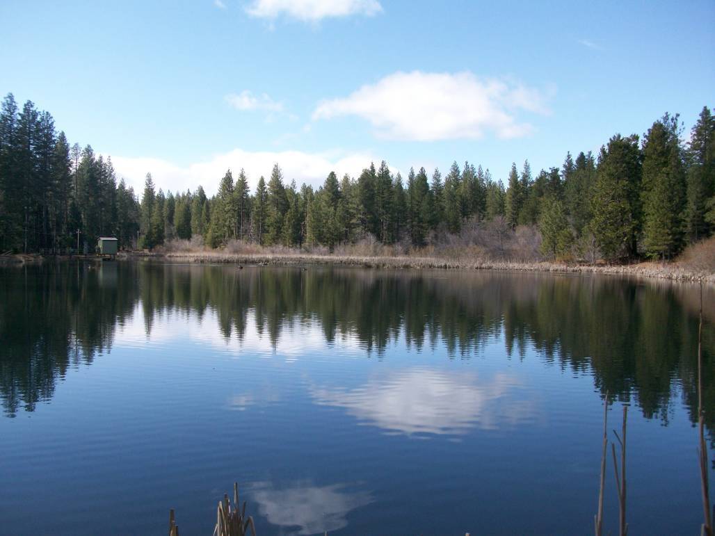 Grace Lake Resort Come As A Guest, Leave As A Friend Mountain Valley Living