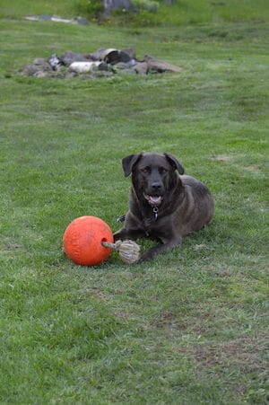 Tank with ball