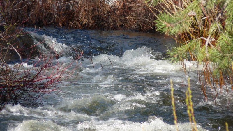 Lassen County Real Estate surrounded by lakes and Streams