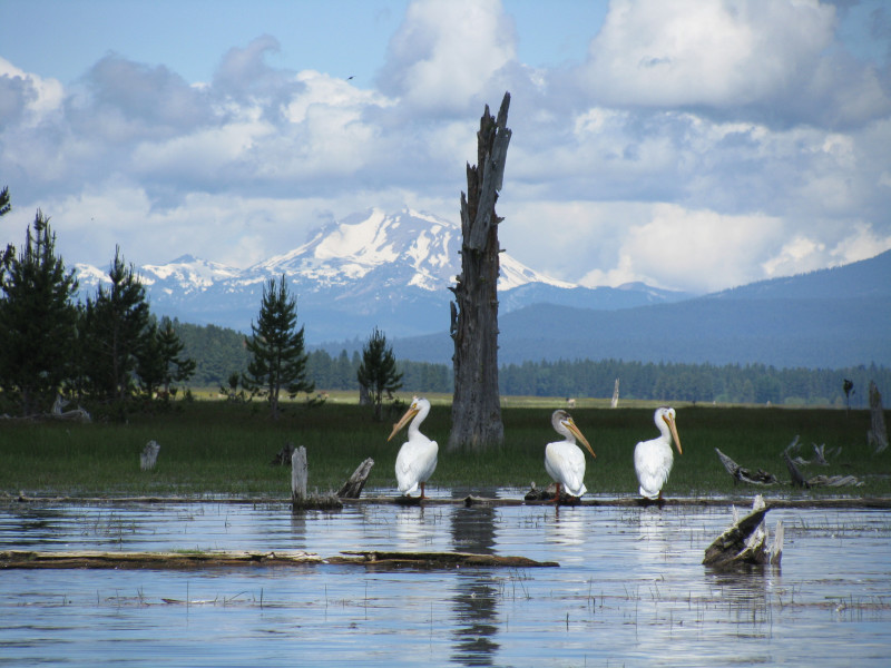 Lassen County, Walker Lake, Mountain Meadows Reservoir ©Larry Richardson, Westwood, CA Mountain Meadows Reservoir in Lassen County - Known to locals as Walker Lake