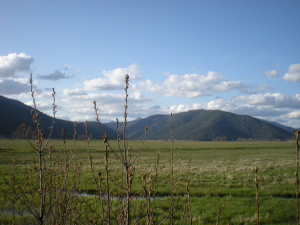 DSCN2567