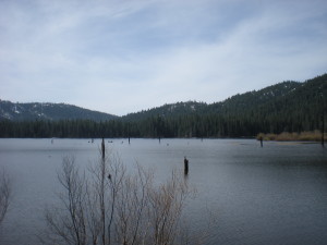 DSCN2585