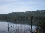 DSCN2596