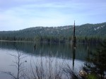 DSCN2597