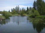 stocked private fishing pond