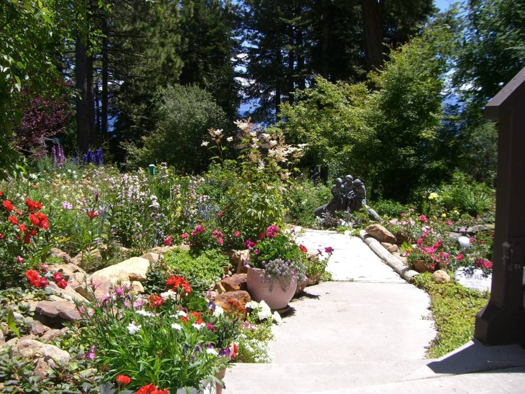 Garden Photo