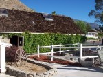 Original vine covered bath house