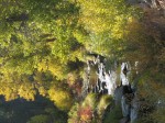 IMG_2077