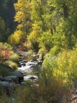 Autumn on the Bizz