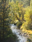 Along the Bizz Johnson Trail