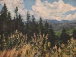 August in Cascades