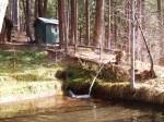 The pond