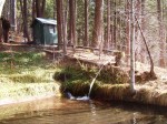 The pond