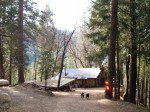 The cabin and the dogs today