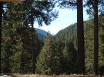 The view from the living room window