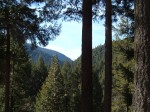 The view from the living room window