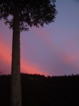 Seneca Sunset
