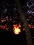 Seneca Sunset
