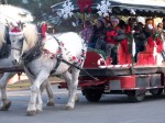 Graeagle Christmas 006
