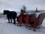 sleigh pic 8