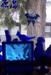 Cobalt kitchen critters