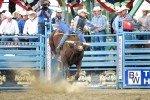 Reno Rodeo
