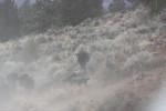 Fall 2010