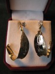 Schwirian earrings with stones