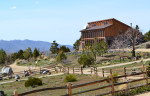 main house ark