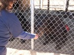 Black Bear and Roberta