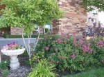 Garden Flora
