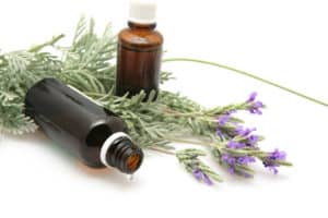 Lavender Oil And Lavender Flowers On White Background