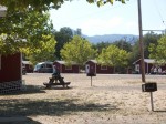 Cabins
