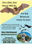 Garys Bat Removal
