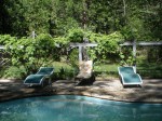 Grape vines around the pool Grace Lake Resort