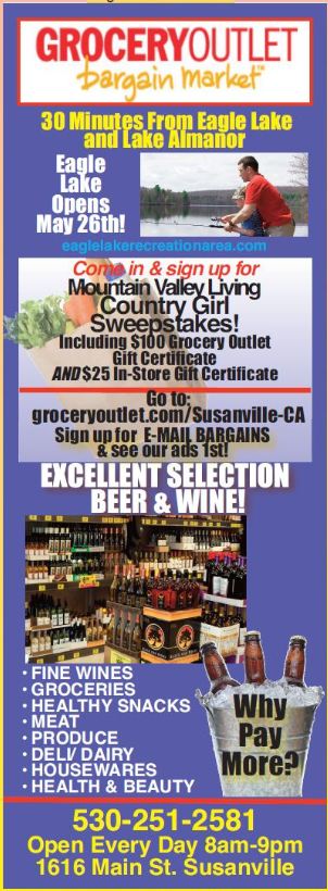 grocery outlet