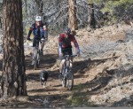 springbikers1by Joel Rathje springbikers1by Joel Rathje