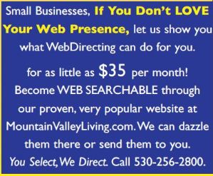 web directing