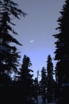 stars&moon along the westshore