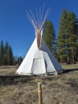 tipi1