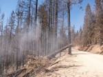 chips fire 1