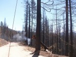 chips fire 3