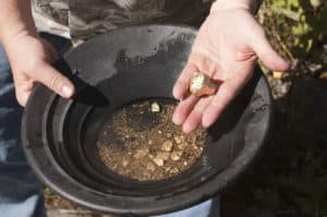 man finding gold nuggets