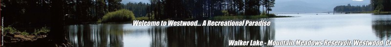 bannerWestwood