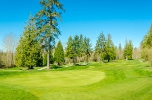 Golf-course-with-gorgeous-gree  karamysh,-55233770