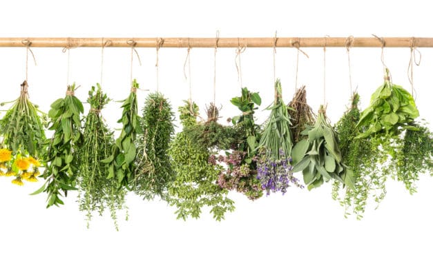 PLANT AN HERB GARDEN – Make a Soothing Herbal Wrap