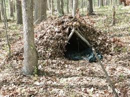Survival: Building A Debris Shelter In The Forest