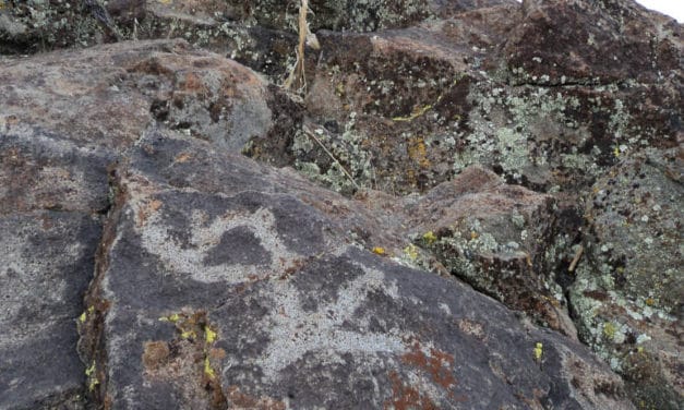 Belfast Petroglyphs