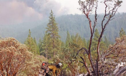 Fighting Aggressive Wilderness Fires: Hot Shots