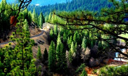 Hitting The Hiking Trail In Plumas County
